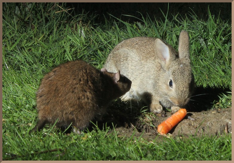 ImageoftheDay by Subject